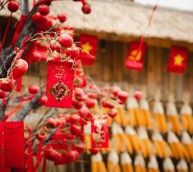 Spring Festival: Lunar New Year Celebrations Around the World | Savvy ...