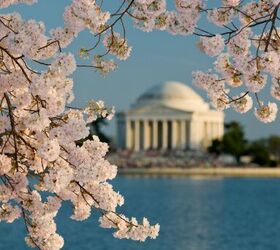 The 7 Best Spring Travel Destinations in the USA | Savvy Explorers