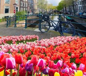 The Best Spring Travel Destinations Around the World | Savvy Explorers