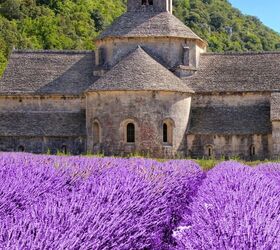 5 Floral Destinations to Visit for Spring & Summer | Savvy Explorers