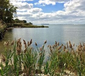 Maryland State Travel Guide: Discover the Old Line State | Savvy Explorers